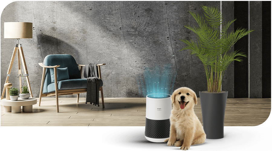 Technologie WINIX PlasmaWave